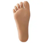 Regular Foot