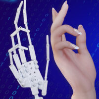Articulated