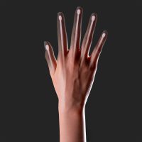 Non articulated fingers